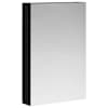 vidaXL Vannitoa peeglikapp Must tamm 40 x 10,5 x 60,5 cm Tehispuit
