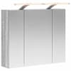 vidaXL Vannitoa peeglikapp Hall Sonoma 60 x 14,5 x 50 cm Tehispuit