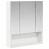 vidaXL Vannitoa peeglikapp Valge 60 x 14.5 x 70 cm Tehispuit