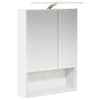 vidaXL Vannitoa peeglikapp Valge 50 x 14,5 x 70 cm Tehispuit