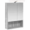 vidaXL Vannitoa peeglikapp Hall Sonoma 50 x 14,5 x 70 cm Tehispuit