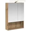 vidaXL Vannitoa peeglikapp Artisan tamm 50 x 14,5 x 70 cm Tehispuit