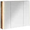 vidaXL Vannitoa peeglikapp Suitsetatud tamm 83,5 x 15,5 x 70 cm