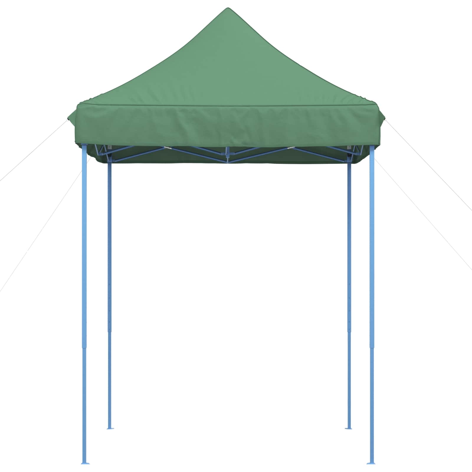 Partytent Groen 200 x 200 x 306 cm Oxford Stof image 3