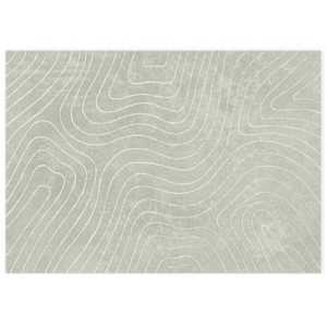 Kusové koberce PALMERAS Zelená 340 x 240 cm Polyester - obrázek 2
