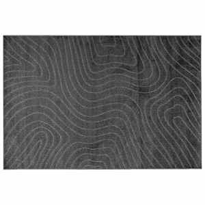 Kusové koberce PALMERAS Antracit 230 x 160 cm Polyester - obrázek 2