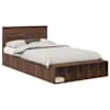 Brown_oak