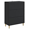 vidaXL Sahtlib&uuml;roo 66 x 34,5 x 90 cm Tehispuit Must