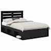 Black_oak