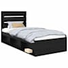 Black_oak