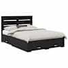 Black_oak