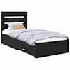 Black_oak