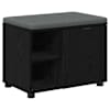 vidaXL Hallipink padjaga riiuliga uksega Must Tamm 60 x 38 x 46 cm