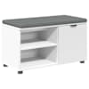 vidaXL Hallipink padjaga riiuliga ladustamisega Valge 80 x 38 x 46 cm