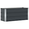 vidaXL Taimekast Antratsiit 100 x 40 x 45 cm Teras
