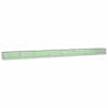 Pastel_green