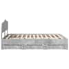 Toote pisipilt  9 / 14