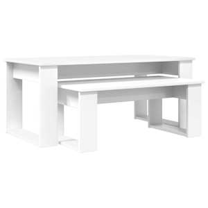 vidaXL Kohvilauda komplekt 2 tk Valge 100 x 50 x 42 cm Tehispuit
