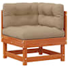 Wax_brown_pine