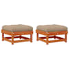 Wax_brown_pine