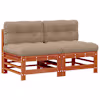 Wax_brown_pine