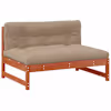 Wax_brown_pine