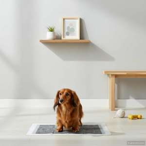 Netkano blago za pasjo trening blazino 200 pcs 45 x 33 cm