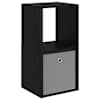 Black_oak