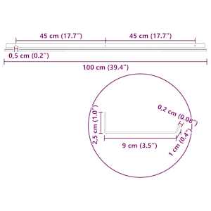 Plovoucí police Nástěnný 2 pcs Antracit 100 x 9 x 2,5 cm Ocel - obrázek 11