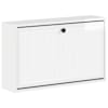 High_gloss_white