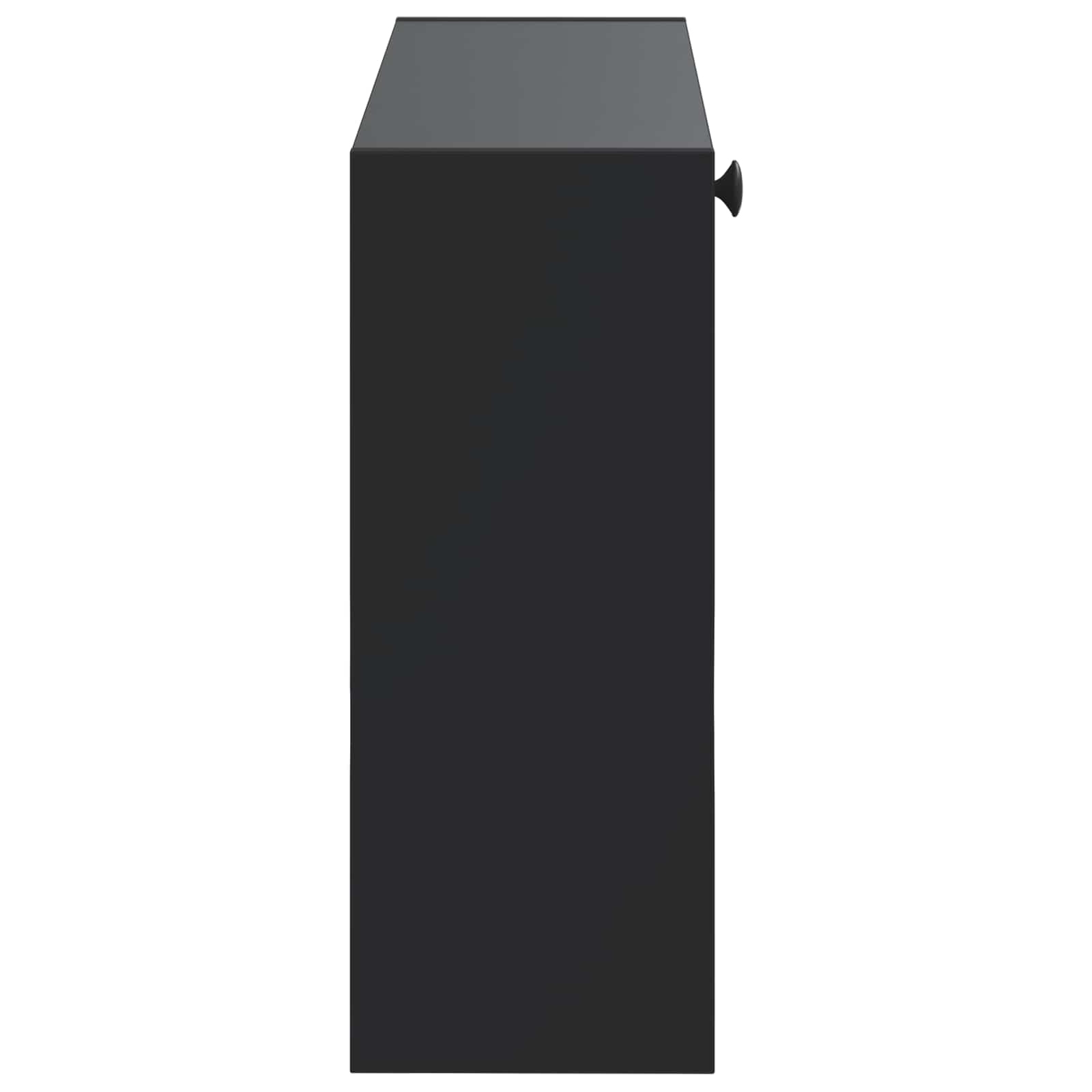 Wandgemonteerde Schoenkast ALKMAAR 71 x 17 x 43 cm Bewerkt hout image 4