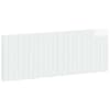 High_gloss_white