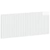 High_gloss_white