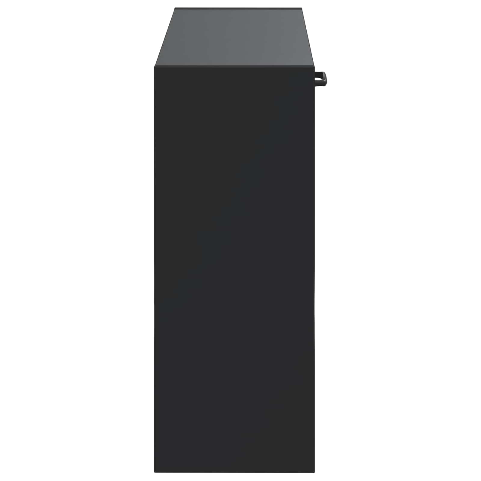 Wandgemonteerde Schoenkast HOORN 71 x 17 x 43 cm Bewerkt hout image 4