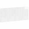 High_gloss_white