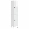 High_gloss_white