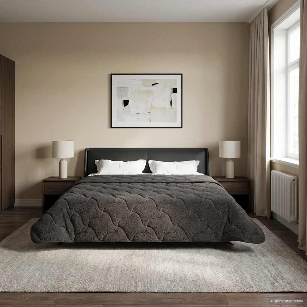 Zomer Dekbed Antraciet 220 x 260 cm Microfiber en Teddy fleece image 1