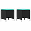 Black_and_turquoise