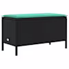 Black_and_turquoise