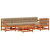 Wax_brown_pine