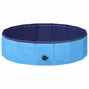vidaXL Laste ujumisbassein &Oslash; 80 x 20 cm &Uuml;mmargune Sinine jaoks