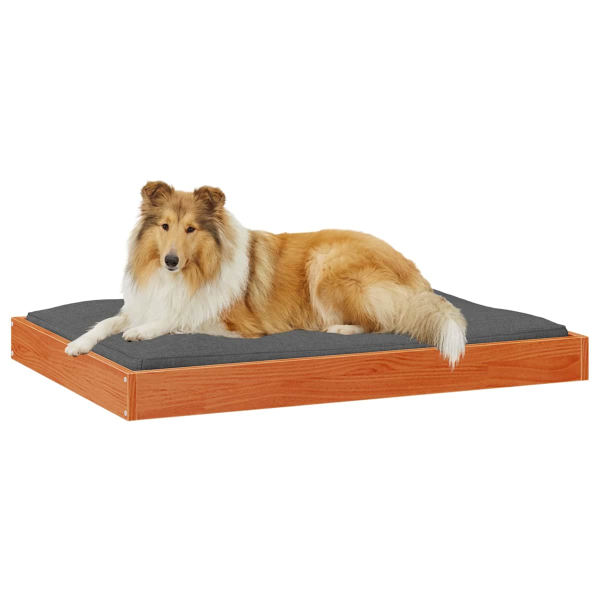 Hundeseng 101,5 x 74 x 9 cm Massivt fyrretræ - Billede 3