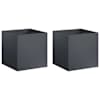 Anthracite