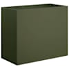 Olive_green