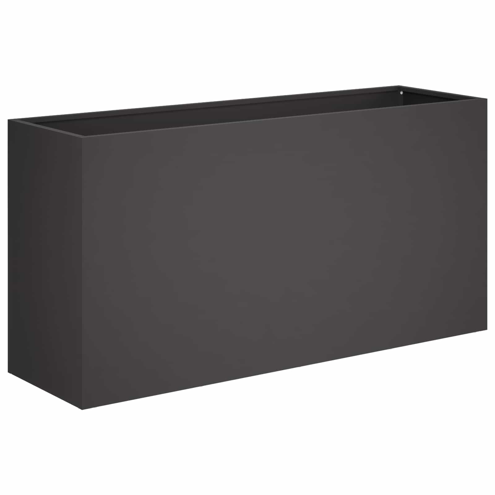 Plantenbak Zwart 100 x 30 x 40 cm Koudgewalst staal image 2