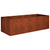 vidaXL Aia istutuspot Rooste 200 x 80 x 60 cm Ilmastikukindel teras