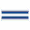 Blue_and_white