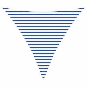 vidaXL P&auml;ikesepuri 3,6 x 3,6 x 3,6 m 100% pol&uuml;ester Oxford Kolmnurk