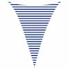 Blue_and_white