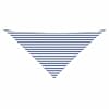 Blue_and_white